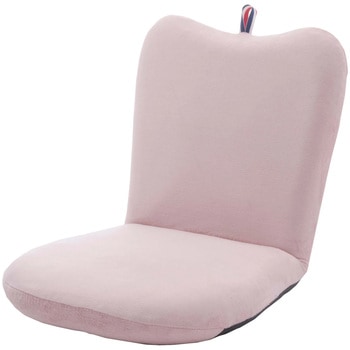 A254a-648PIK ���N���C�j���O���֎q APPLE �Z���^�� �e�N�m�s���N�F ����9�`40cm��41cm���s��50�`79cm  A254a-648PIK 57579001