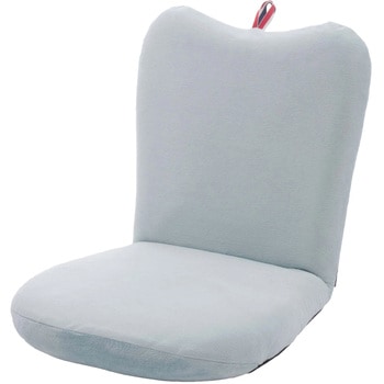 A254a-650BL ���N���C�j���O���֎q APPLE �Z���^�� �e�N�m�u���[�F ����9�`40cm��41cm���s��50�`79cm  A254a-650BL 57579010