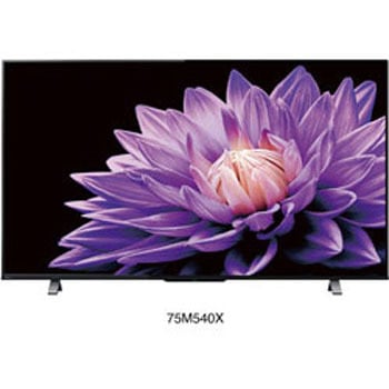 75M540X �t���e���r REGZA(���O�U) M540X�V���[�Y [4K�Ή� /YouTube�Ή�] ���� 57595275