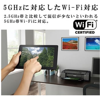 PRO-S1 インクジェットプリンター PIXUS PRO-S1 Canon 3.0型 PRO-S1 インクジェットプリンター PIXUS PRO-S1 Canon 3.0型