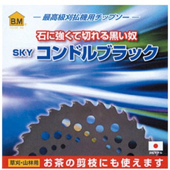 コンドルブラック ハウスビーエム