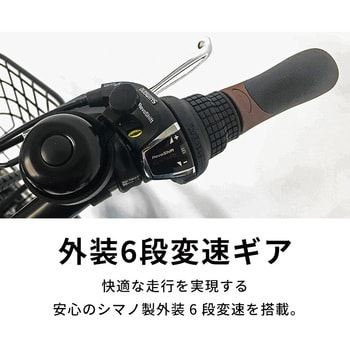 TDN-208L-W 折り畳み電動アシスト自転車 TDN-208L【簡易組立必要】 1台