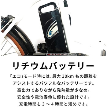 TDF-14Z-BR 電動アシスト自転車 TDF-14Z【完成組立品】 1台 PELTECH