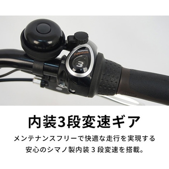 電動アシスト自転車 TDF-14Z【完成組立品】 PELTECH(ペルテック)