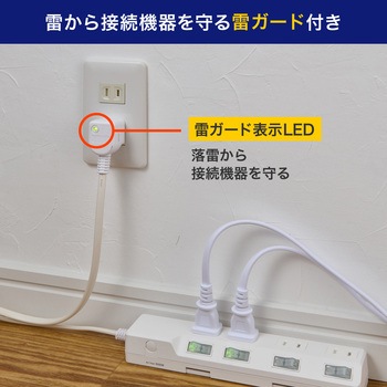 耐雷スイッチ付タップ AC125V 15A 4個口 LEDランプ仕様 独立スイッチ 雷から接続機器を守る耐雷サージ付 ELPA