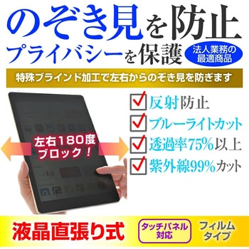 液晶保護フィルム APPLE iPad 第5世代 2017年春、第6世代 2018年春モデル 9.7インチ のぞき見防止 メディアフューチャー