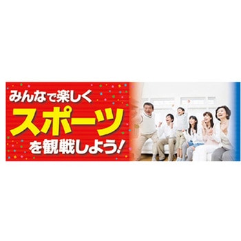 年間タイトルポップ ポスターファクトリー パラポスター アルファ(販促)