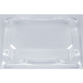 SF磯浜 嵌合蓋AP シーピー化成