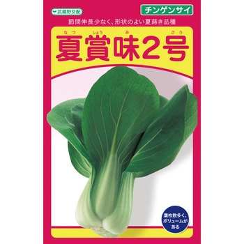 夏賞味2号(チンゲン) 武蔵野種苗園
