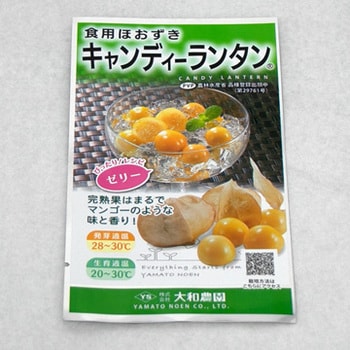 キャンディーランタン 食用ほおずき 大和農園 野菜の種 通年 通販モノタロウ