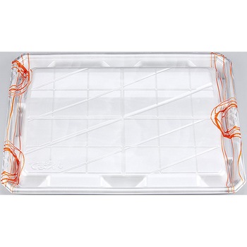 SFニック シーピー化成