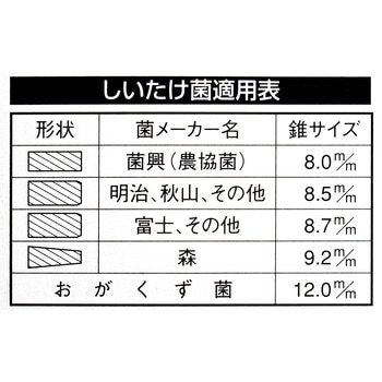 シイタケ錐B BIGMAN