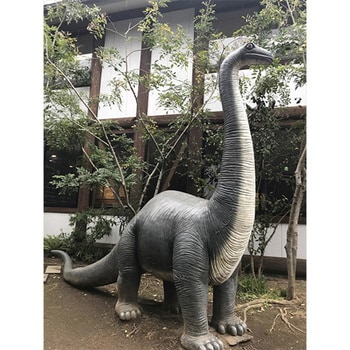 fr080130 草原のブロントザウルス / Brontosaurus 1個 Heinimex 【通販 