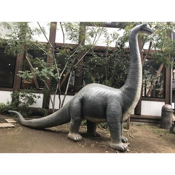 fr080130 草原のブロントザウルス / Brontosaurus 1個 Heinimex 【通販 