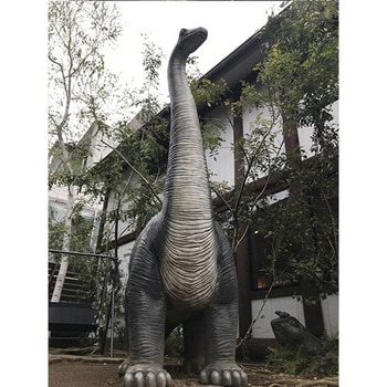 fr080130 草原のブロントザウルス / Brontosaurus 1個 Heinimex 【通販