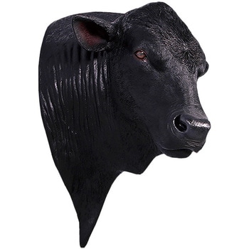 fr150382 アンガス牛の頭部 / Angus Bull Shoulder Mount 1個 Heinimex 【通販モノタロウ】