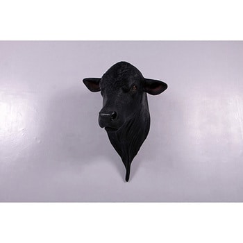fr150382 アンガス牛の頭部 / Angus Bull Shoulder Mount