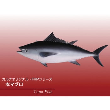 本マグロ Tuna Fish Heinimex 置き物 インテリア小物 収納 通販モノタロウ Fraftuf