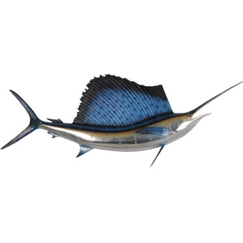 fr190034 芭蕉カジキ / Sailfish 5ft． 1個 Heinimex 【通販モノタロウ】