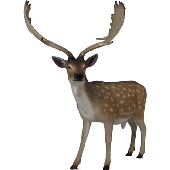 Fr 雄鹿 ダマジカ Fallow Deer Buck 1個 Heinimex 通販モノタロウ