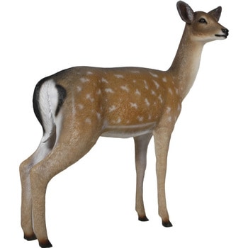 fr190015 白い尻尾の雌鹿 / White-Tailed Deer - Doe 1個 Heinimex 