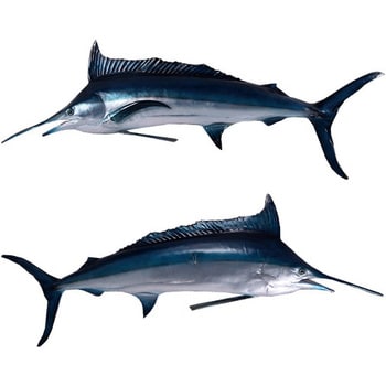 fr130078 ブルーマーリン / Blue Marlin 1個 Heinimex 【通販モノタロウ】