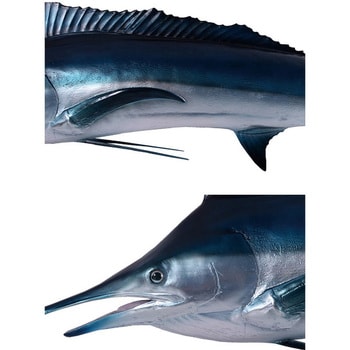 fr130078 ブルーマーリン / Blue Marlin 1個 Heinimex 【通販モノタロウ】