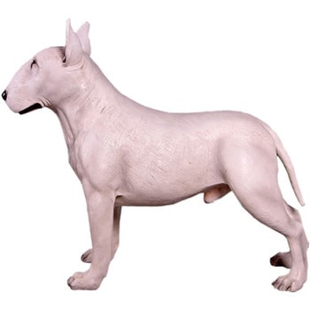 fr150238wh ブルテリア・ホワイト / Bull Terrier 1個 Heinimex 【通販