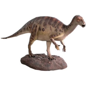 fr100091 ベイビーイグアノドン / Baby Iguanodont 1個 Heinimex