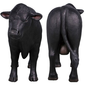fr160070bl 小型アンガス牛・右向き / Definitive Angus Looking