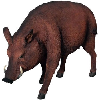Fr いのしし 猪 Wild Boar 1個 Heinimex 通販サイトmonotaro
