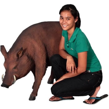 fr100079 いのしし・猪 / Wild Boar Heinimex 1個 fr100079 fr100079 いのしし・猪 / Wild Boar Heinimex 1個 fr100079