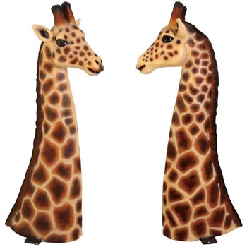 fr100020 キリンの頭部 / Giraffe Head 1個 Heinimex 【通販モノタロウ】