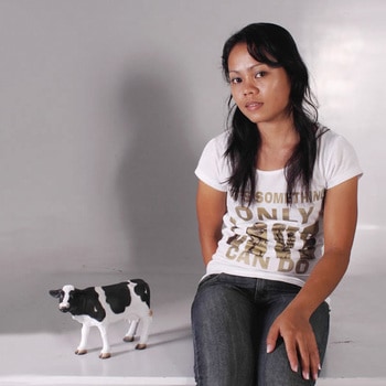 小さな牛 / Mini Cow Heinimex