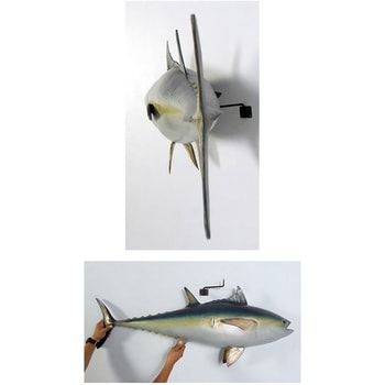 fr120054 マグロ / Bluefin Tuna 1個 Heinimex 【通販モノタロウ】