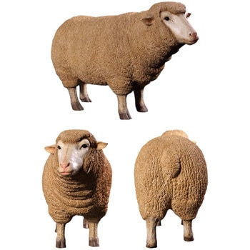 Fr メリノ種の雌ひつじ Merino Ewe Head Up 1個 Heinimex 通販モノタロウ