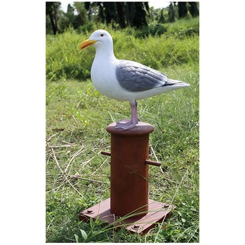 fr130088 ビットの上のカモメ / Seagull on Mooring Bollard 1個