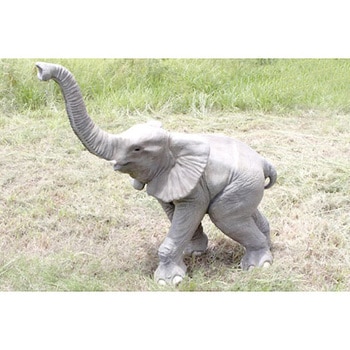 fr090026 鼻を高く突き上げる子ゾウ / Walking Baby Elephant 1個 