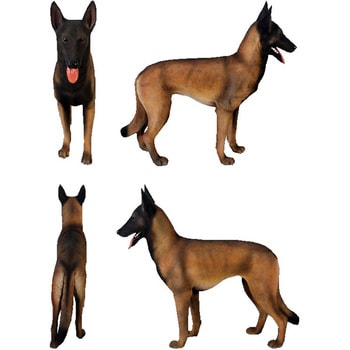 ベルギー犬 Belgian Malinois Heinimex 置き物 インテリア小物 収納 通販モノタロウ Fr