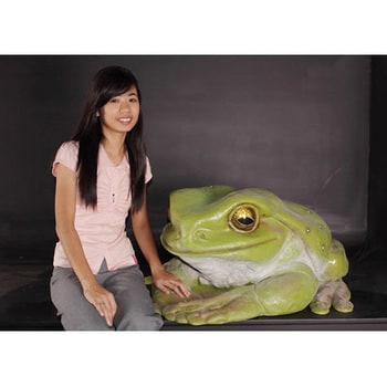 fr090012 でかいカエル / Frog Jumbo 1個 Heinimex 【通販モノタロウ】