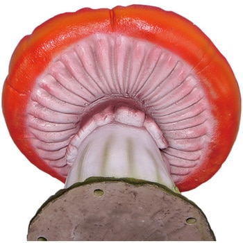 割れ目のあるキノコの椅子 Split Single Mushroom Seat Heinimex 置き物 インテリア小物 収納 通販モノタロウ Fr