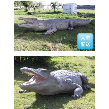 fr100097 巨大クロコダイル / Crocodile 28ft． 1個 Heinimex 【通販 