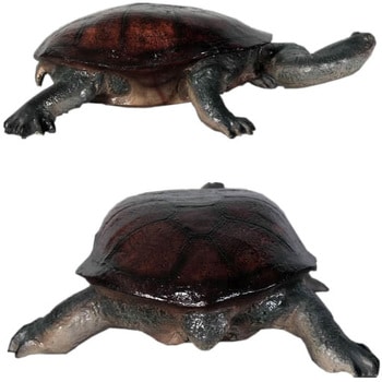 fr100114 首の長い亀 / Long-neck Turtle 1個 Heinimex 【通販モノタロウ】