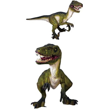 素晴らしい T-REX） 恐竜 ドロマエオサウルスの歯化石！（検索 