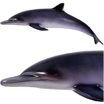 fr120062 イルカ / Dolphin 1個 Heinimex 【通販モノタロウ】