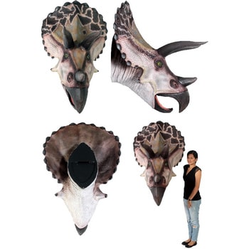 fr110016 トリケラトプスの頭 / Triceratops - Head Only 1個 Heinimex 【通販モノタロウ】