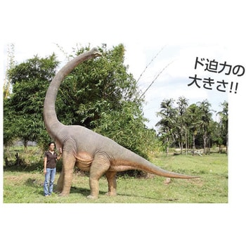 Amazon.co.jp: TSUKUDA HOBBY ツクダホビー ブラキオサウルス