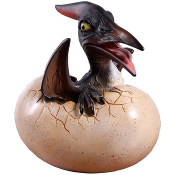 孵化するプテラノドン / Baby Pteranodon Hatching Heinimex