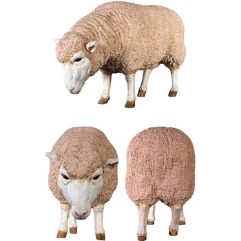 Fr0409 メリノ種のひつじ Merino Ewe 1個 Heinimex 通販サイトmonotaro