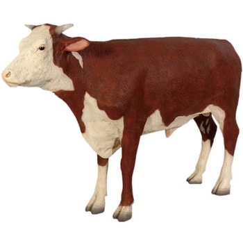 fr080125 ヘレフォードの雄牛 / Hereford Steer 1個 Heinimex 【通販